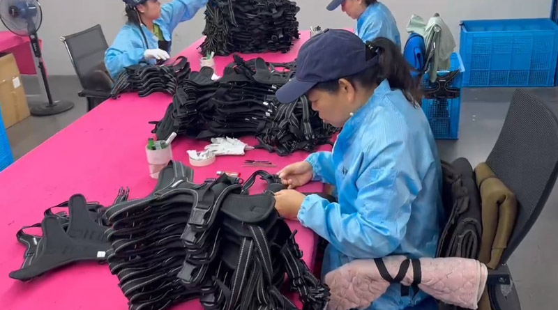竞技宝官网宠物，无处不在