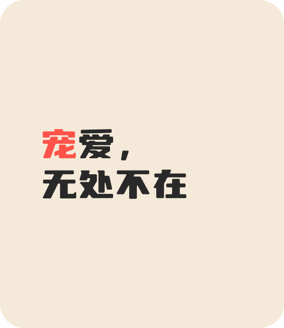 竞技宝官网宠物，无处不在