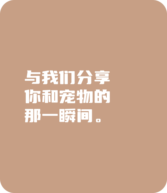 竞技宝官网宠物，无处不在